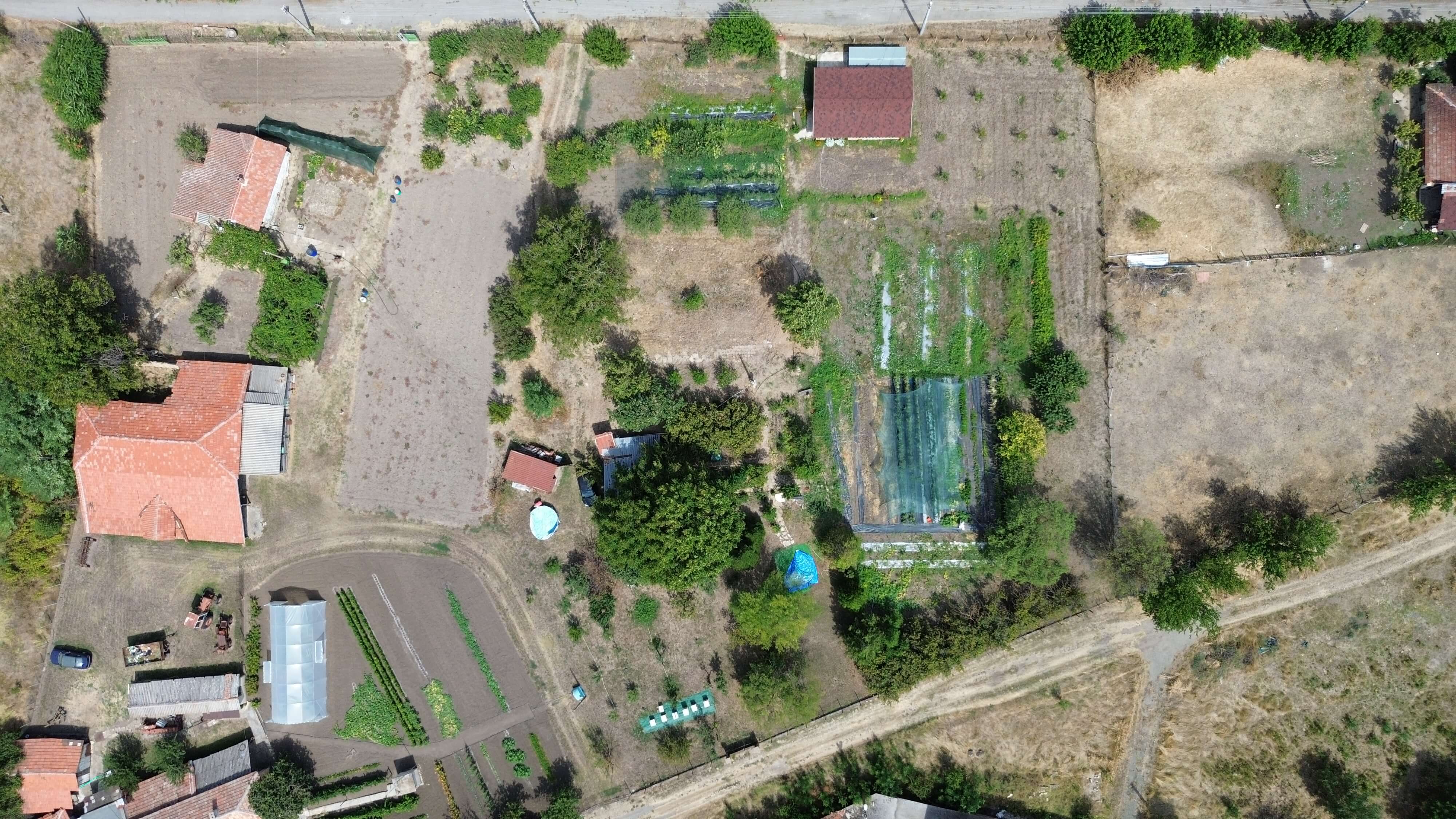 Agricultural survey drone